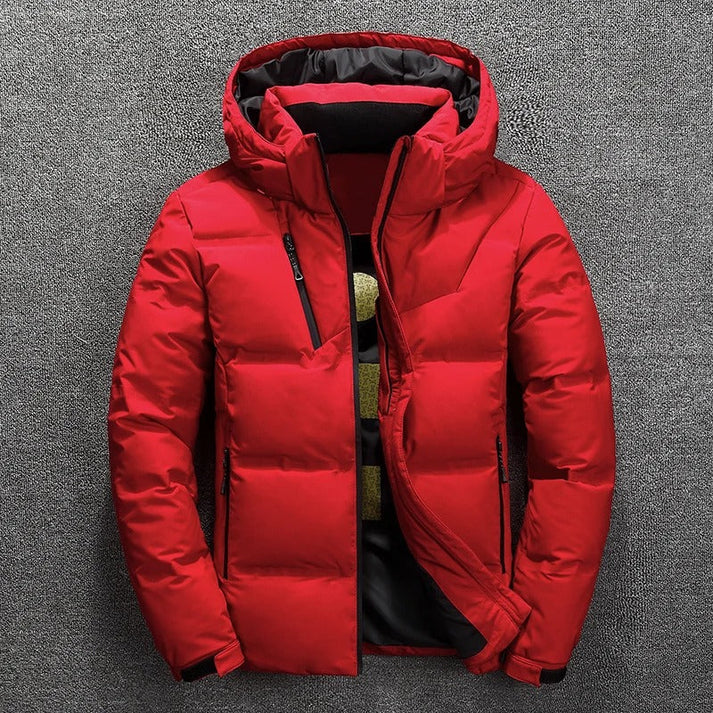 Finn - Men's Casual Puffer Jacket with Hood
